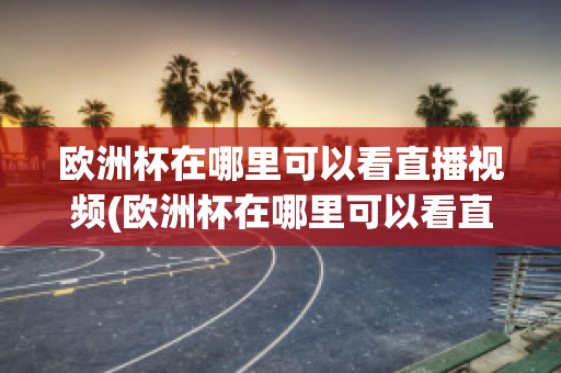 欧洲杯在哪里可以看直播视频(欧洲杯在哪里可以看直播视频呢)