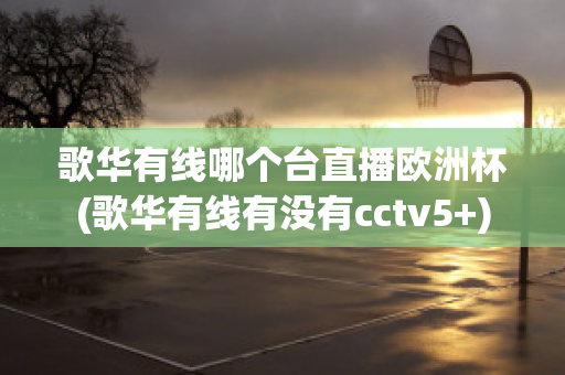 歌华有线哪个台直播欧洲杯(歌华有线有没有cctv5+)