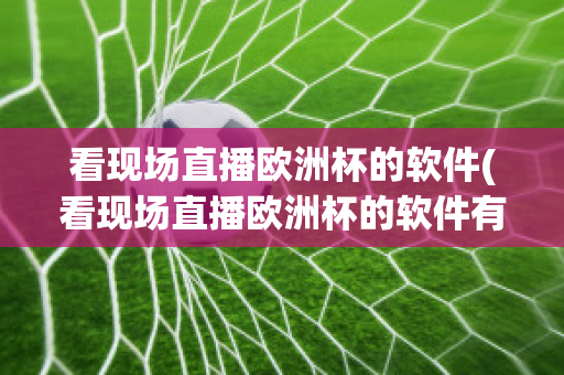 看现场直播欧洲杯的软件(看现场直播欧洲杯的软件有哪些)