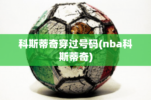 科斯蒂奇穿过号码(nba科斯蒂奇)