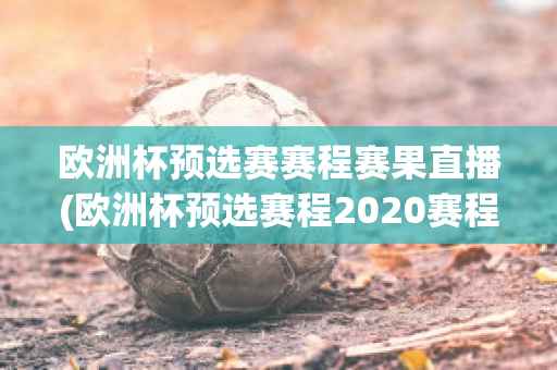 欧洲杯预选赛赛程赛果直播(欧洲杯预选赛程2020赛程表)