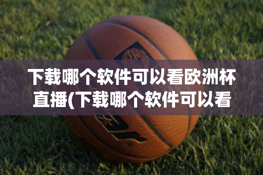 下载哪个软件可以看欧洲杯直播(下载哪个软件可以看欧洲杯直播的)