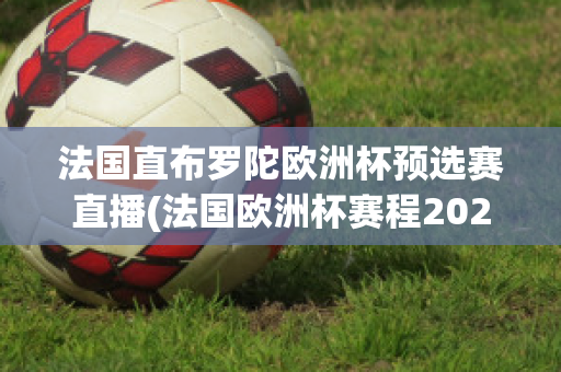 法国直布罗陀欧洲杯预选赛直播(法国欧洲杯赛程2021赛程表)