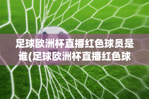 足球欧洲杯直播红色球员是谁(足球欧洲杯直播红色球员是谁呀)