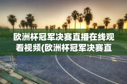 欧洲杯冠军决赛直播在线观看视频(欧洲杯冠军决赛直播在线观看视频下载)