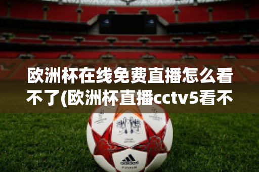 欧洲杯在线免费直播怎么看不了(欧洲杯直播cctv5看不了)