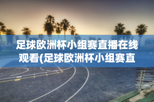 足球欧洲杯小组赛直播在线观看(足球欧洲杯小组赛直播在线观看高清)