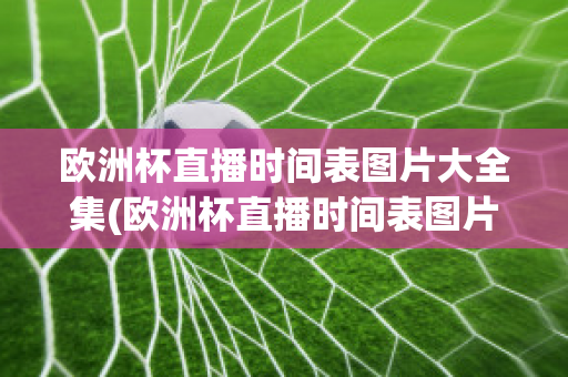 欧洲杯直播时间表图片大全集(欧洲杯直播时间表图片大全集高清)