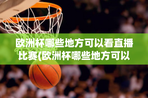 欧洲杯哪些地方可以看直播比赛(欧洲杯哪些地方可以看直播比赛回放)