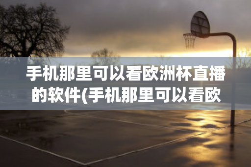 手机那里可以看欧洲杯直播的软件(手机那里可以看欧洲杯直播的软件有哪些)