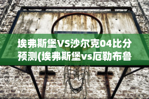 埃弗斯堡VS沙尔克04比分预测(埃弗斯堡vs厄勒布鲁比分)