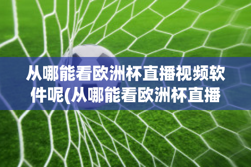 从哪能看欧洲杯直播视频软件呢(从哪能看欧洲杯直播视频软件呢知乎)