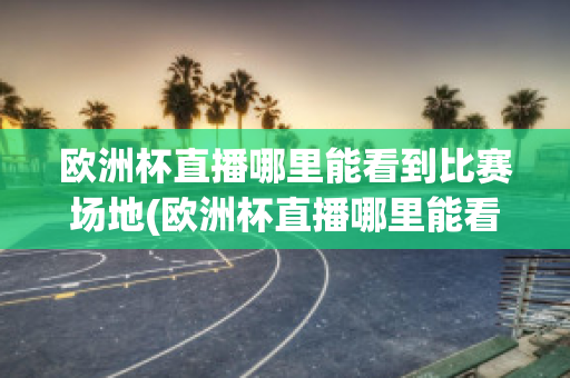 欧洲杯直播哪里能看到比赛场地(欧洲杯直播哪里能看到比赛场地信息)