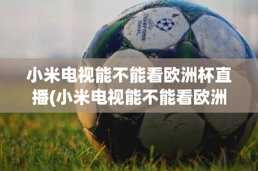 小米电视能不能看欧洲杯直播(小米电视能不能看欧洲杯直播回放)