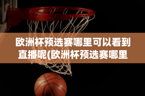 欧洲杯预选赛哪里可以看到直播呢(欧洲杯预选赛哪里可以看到直播呢英文)