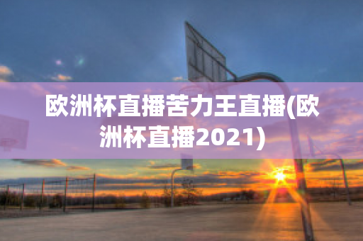 欧洲杯直播苦力王直播(欧洲杯直播2021)