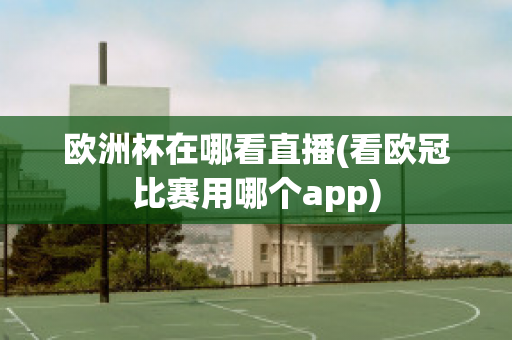 欧洲杯在哪看直播(看欧冠比赛用哪个app)