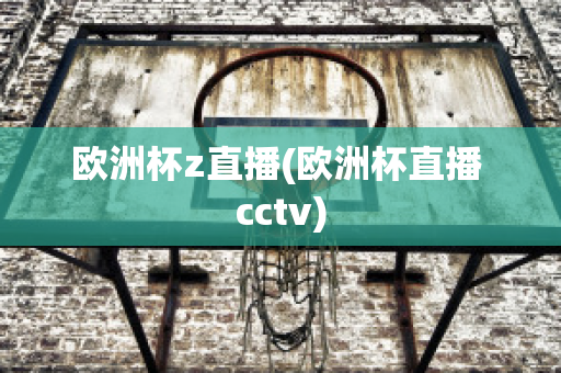 欧洲杯z直播(欧洲杯直播 cctv)