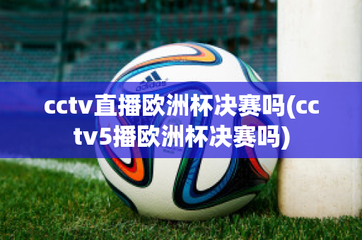 cctv直播欧洲杯决赛吗(cctv5播欧洲杯决赛吗)