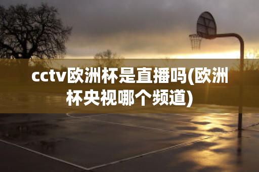 cctv欧洲杯是直播吗(欧洲杯央视哪个频道)