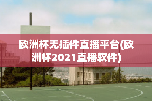 欧洲杯无插件直播平台(欧洲杯2021直播软件)