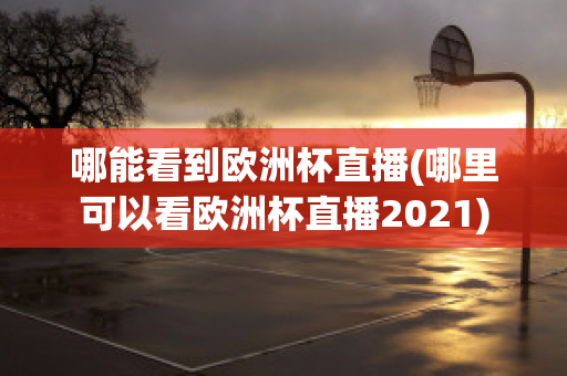 哪能看到欧洲杯直播(哪里可以看欧洲杯直播2021)