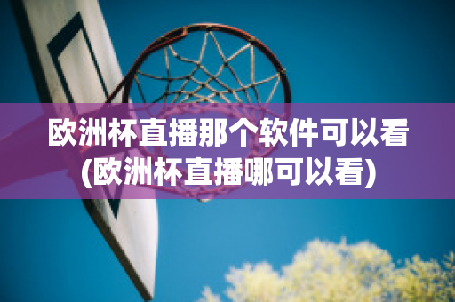 欧洲杯直播那个软件可以看(欧洲杯直播哪可以看)