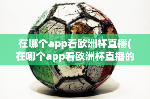 在哪个app看欧洲杯直播(在哪个app看欧洲杯直播的)