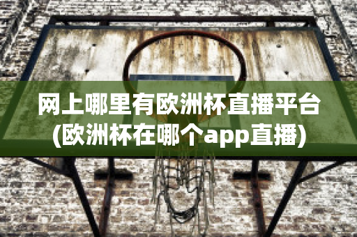 网上哪里有欧洲杯直播平台(欧洲杯在哪个app直播)