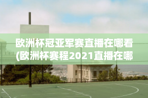 欧洲杯冠亚军赛直播在哪看(欧洲杯赛程2021直播在哪里看)