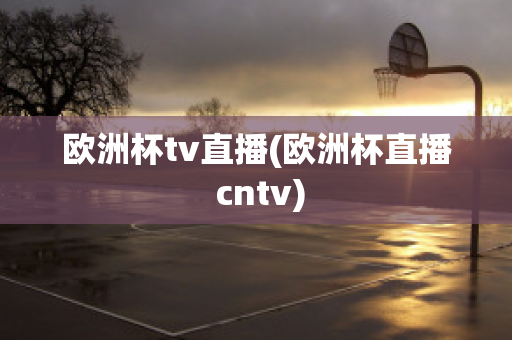 欧洲杯tv直播(欧洲杯直播 cntv)