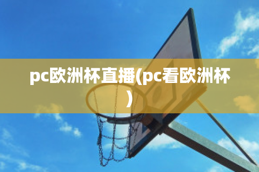 pc欧洲杯直播(pc看欧洲杯)