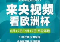 直播欧洲杯足球比赛在哪看的:直播欧洲杯足球比赛在哪看的啊