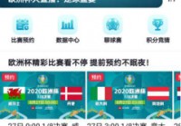 国外看欧洲杯直播软件:国外看欧洲杯直播软件有哪些