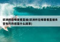 央视直播欧洲杯app:央视直播欧洲杯没解说