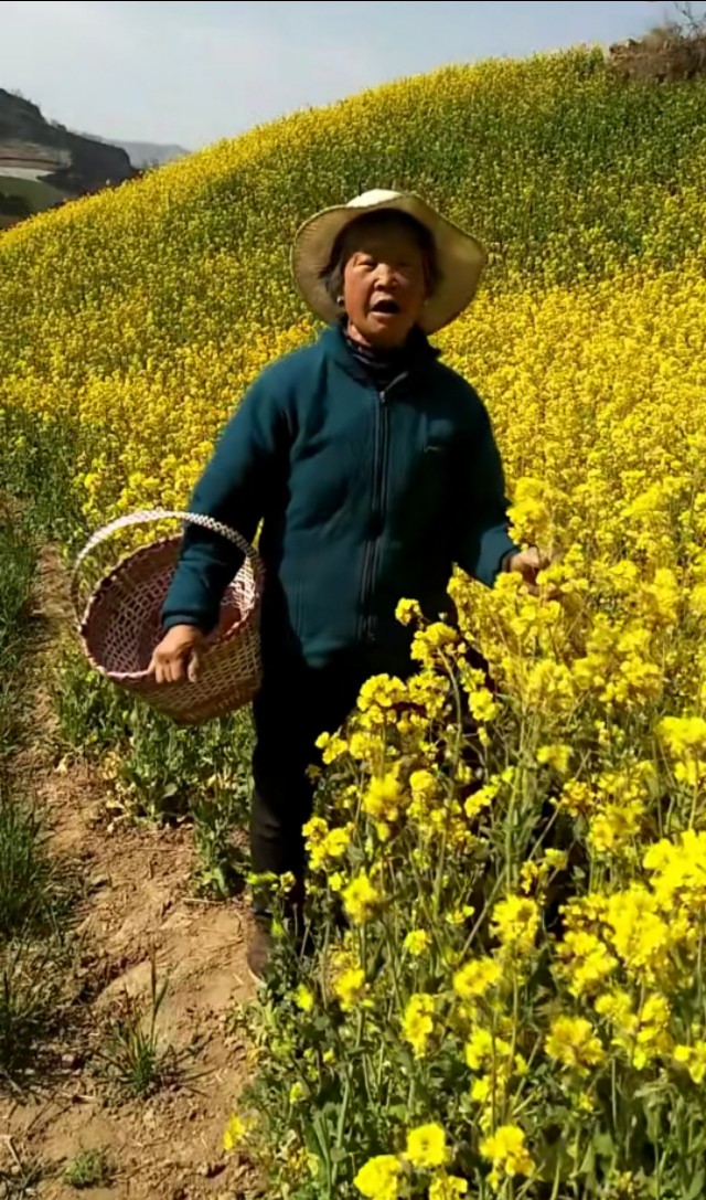 欧洲杯足球最美直播在线观看高清:欧洲杯足球最美直播在线观看高清视频