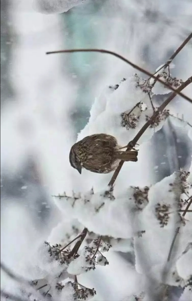 欧洲杯足球最美直播在线观看高清:欧洲杯足球最美直播在线观看高清视频