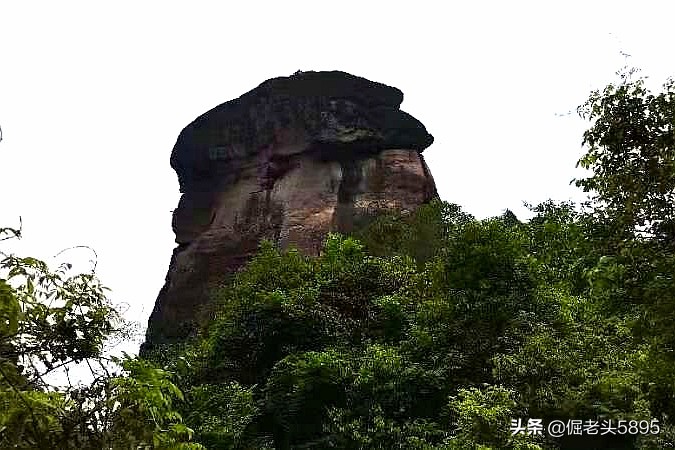 刘哥预测欧洲杯视频直播:刘哥预测欧洲杯视频直播回放