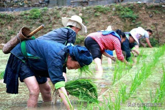 欧洲杯直播袅哥:欧洲杯直播原声