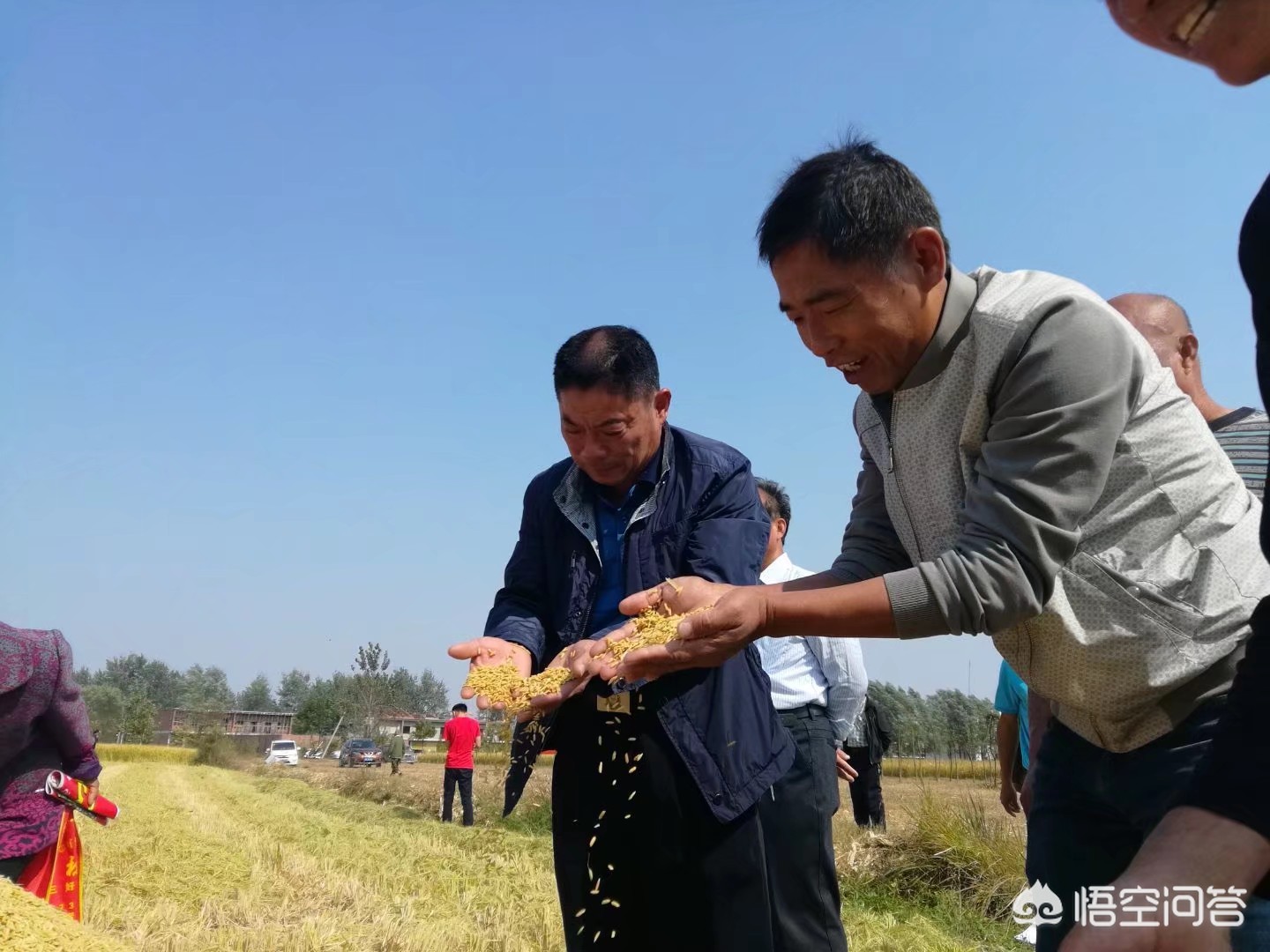 建湖哪里看欧洲杯直播:建湖哪里看欧洲杯直播比较好