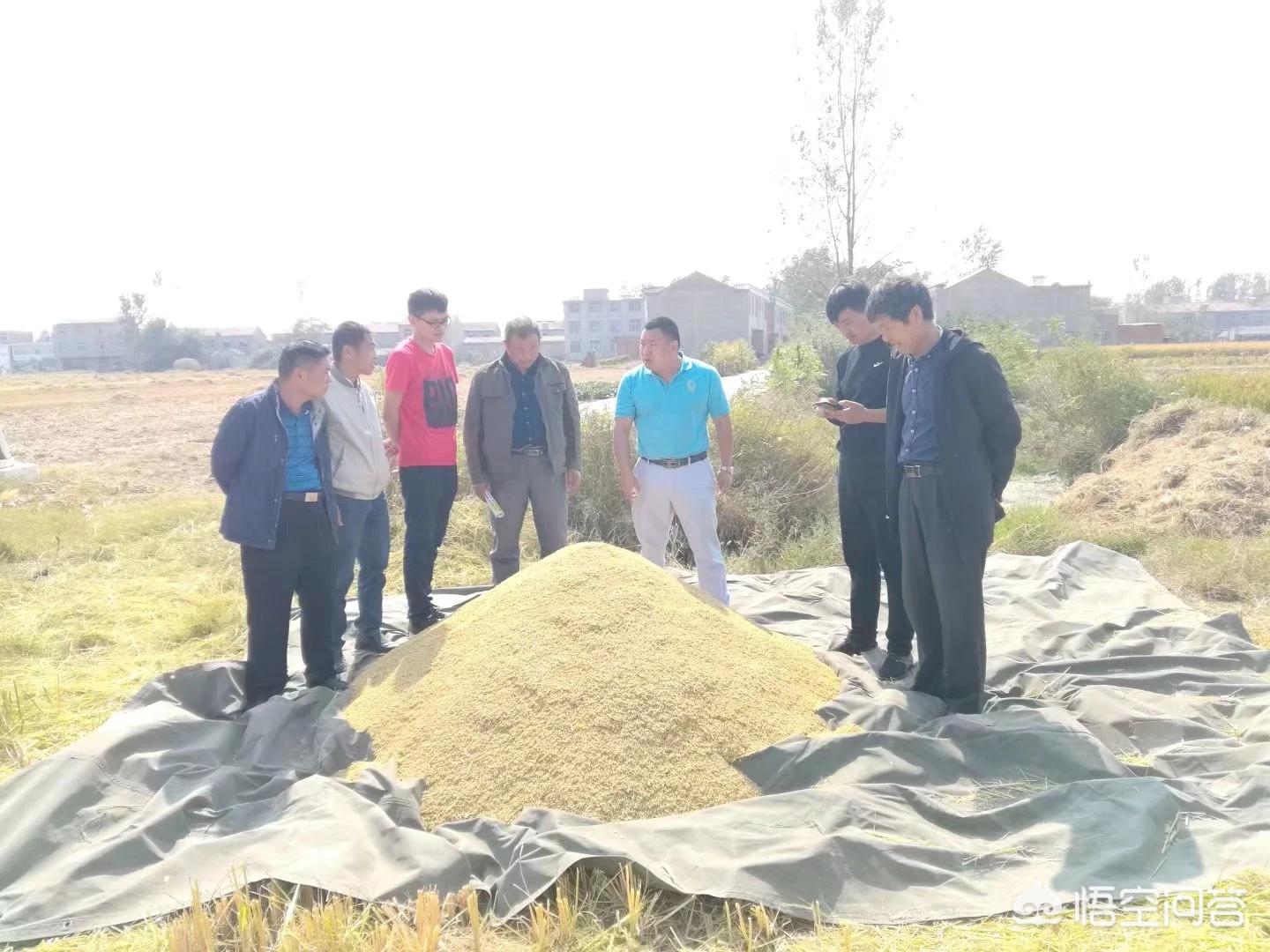 建湖哪里看欧洲杯直播:建湖哪里看欧洲杯直播比较好