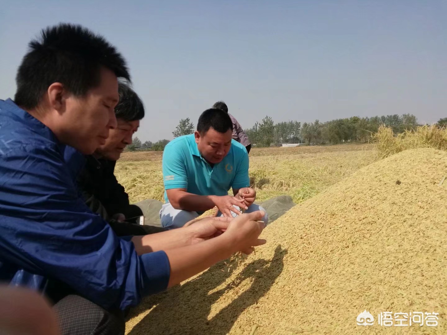 建湖哪里看欧洲杯直播:建湖哪里看欧洲杯直播比较好