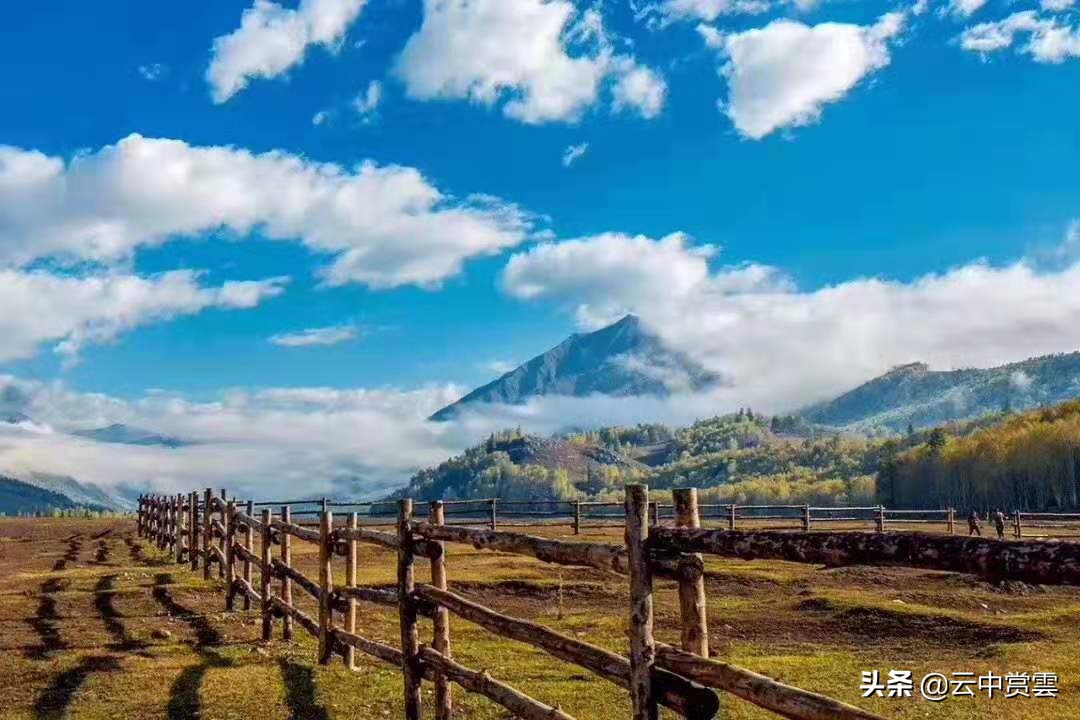 清溪哪里可以看欧洲杯直播:清溪哪里可以看欧洲杯直播的