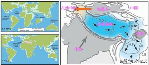 蓝鲸直播欧洲杯在哪看啊:蓝鲸直播欧洲杯在哪看啊视频