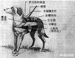 欧洲杯央视直播太卡:欧洲杯央视直播太卡了怎么办