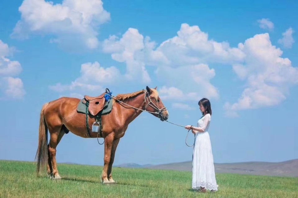 崂山欧洲杯直播:崂山欧洲杯直播平台