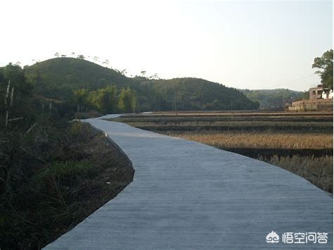 岑溪哪里可以看欧洲杯直播:岑溪哪里可以看欧洲杯直播啊