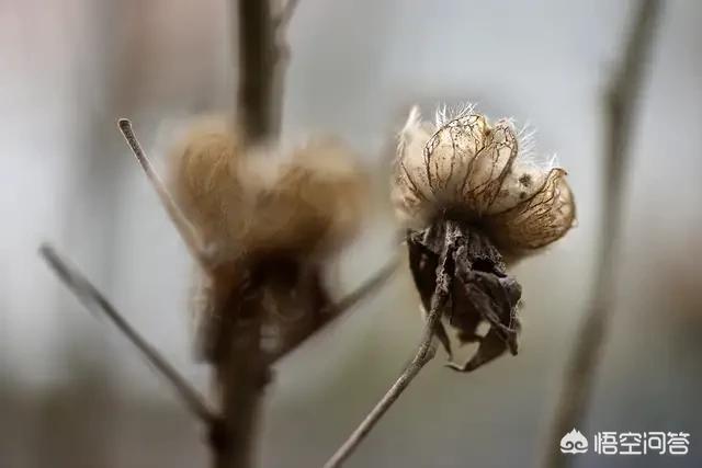 直播欧洲杯怎么拍照:直播欧洲杯哪里看