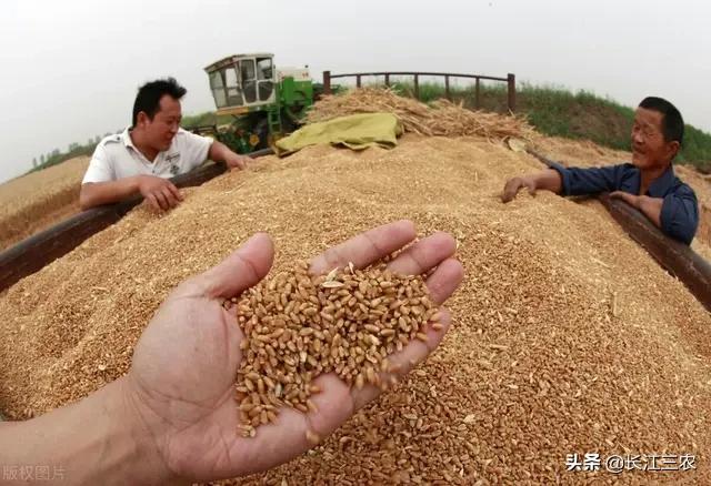 欧洲杯通辽直播:欧洲杯通辽直播在哪看