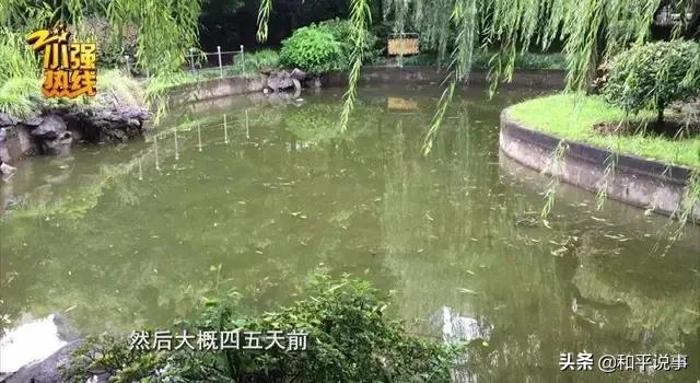 欧洲杯直播标题画法素材:欧洲杯直播标题画法素材下载